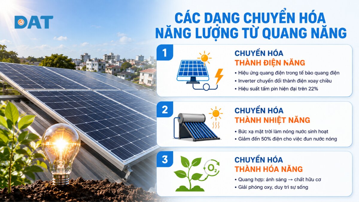 3 dạng chuyển hóa năng lượng từ quang năng.jpg