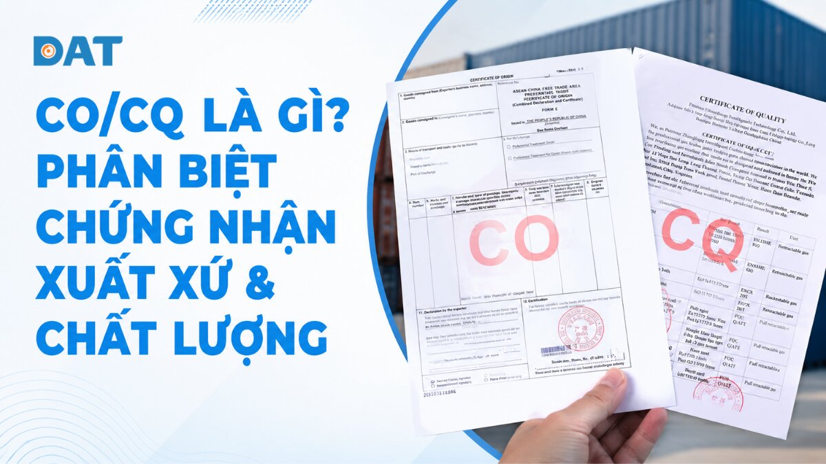 CO/CQ là gì? Phân biệt & cách kiểm tra tính hợp lệ bộ hồ sơ