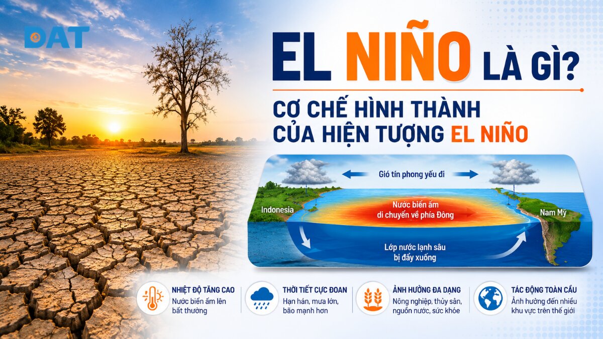 Hiện tượng El Nino là gì? Dấu hiệu nhận biết và tác động